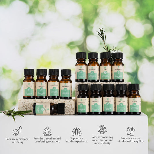 Seasonal Scents Christmas Essential Oils Collection