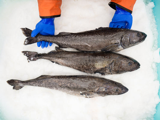 Wild Alaskan Black Cod
