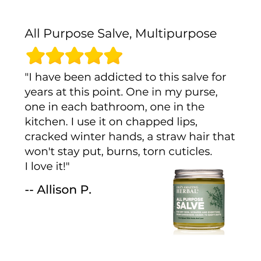 All Purpose Salve, Multipurpose Herbal Salve with Tea Tree