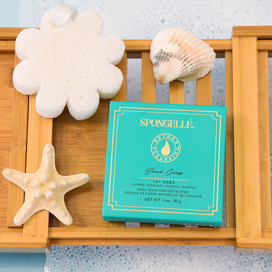 Herbe de plage | Fleur en boîte