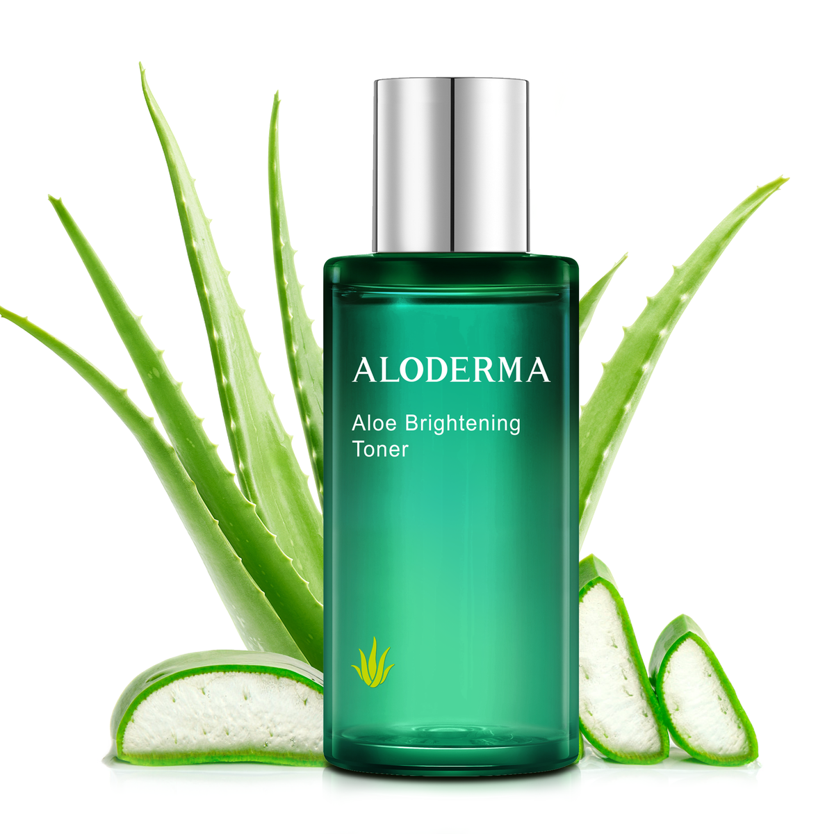 Kit iluminador Signature Aloe