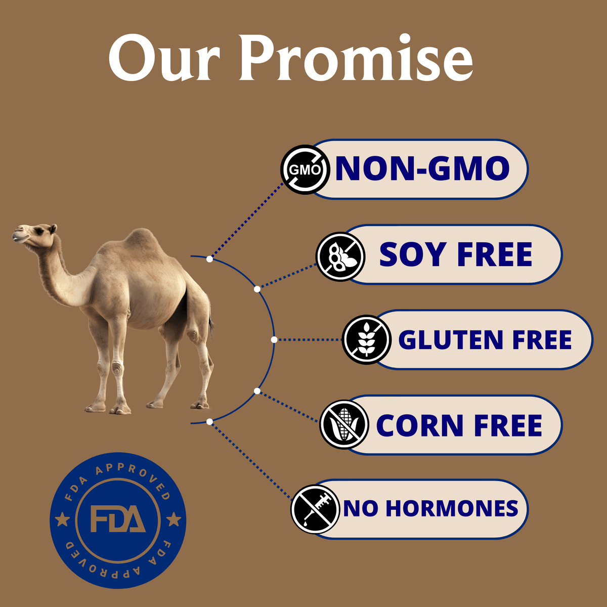 Camel Milk (1 Liter)