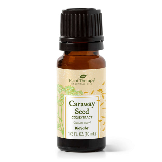 Caraway Seed CO2 Extract | Daily Health & Beauty