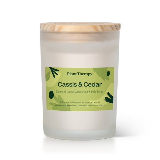 Cassis & Cedar Naturally Scented Candle | Daily Health & Beauty