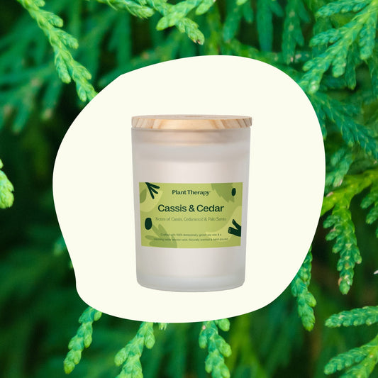 Cassis & Cedar Naturally Scented Candle | Daily Health & Beauty