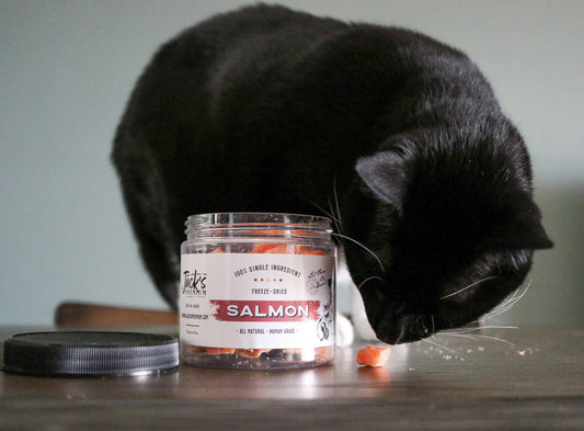 Salmon Freeze Dried