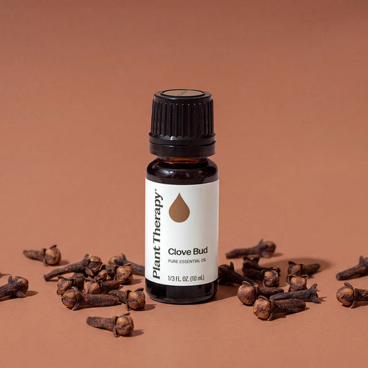 Clove Bud Essential Oil