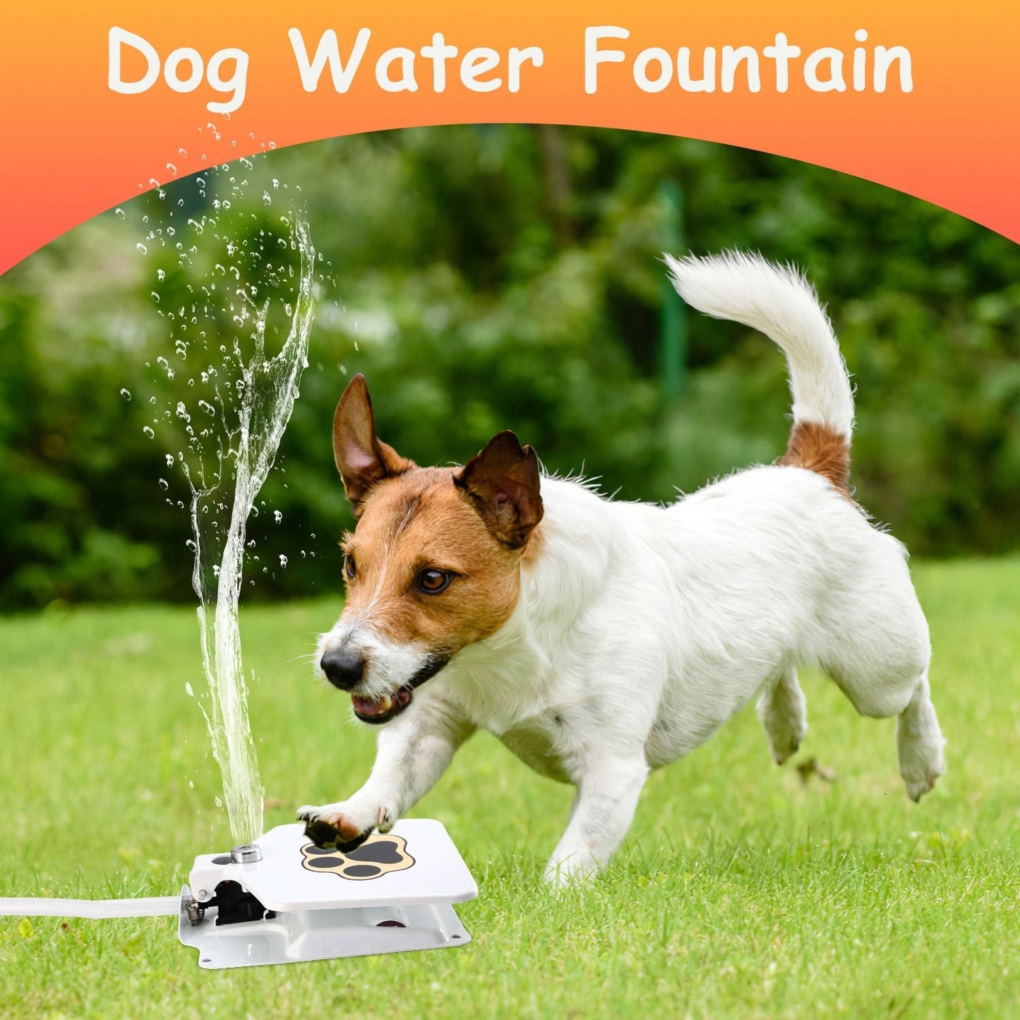 Outdoor Dog Water Fountain Step-On Activated Pet Water Dispenser