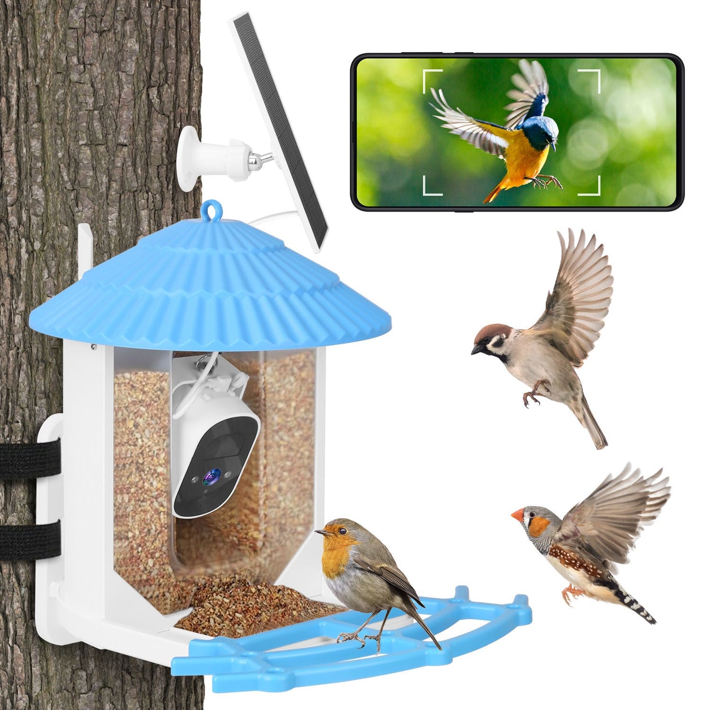 Solar Powered Smart Bird Feeder 2K Bird Watching Camera With PIR Motion AI Birds Species Identify Two-Way Audio Real-Time App Notification Capture Video Gift For Bird Lover