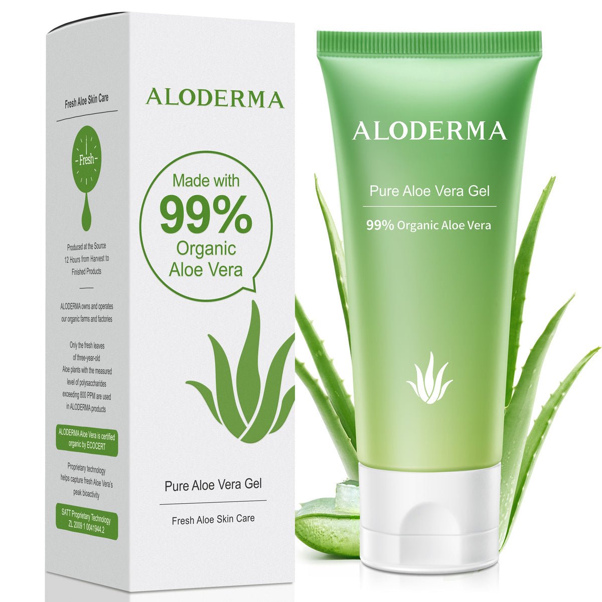 Kit iluminador Essential Aloe
