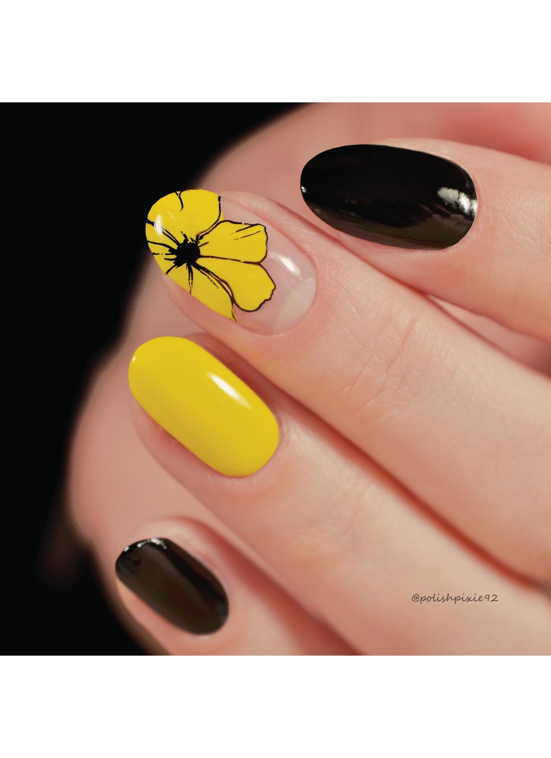 Flora & Fauna