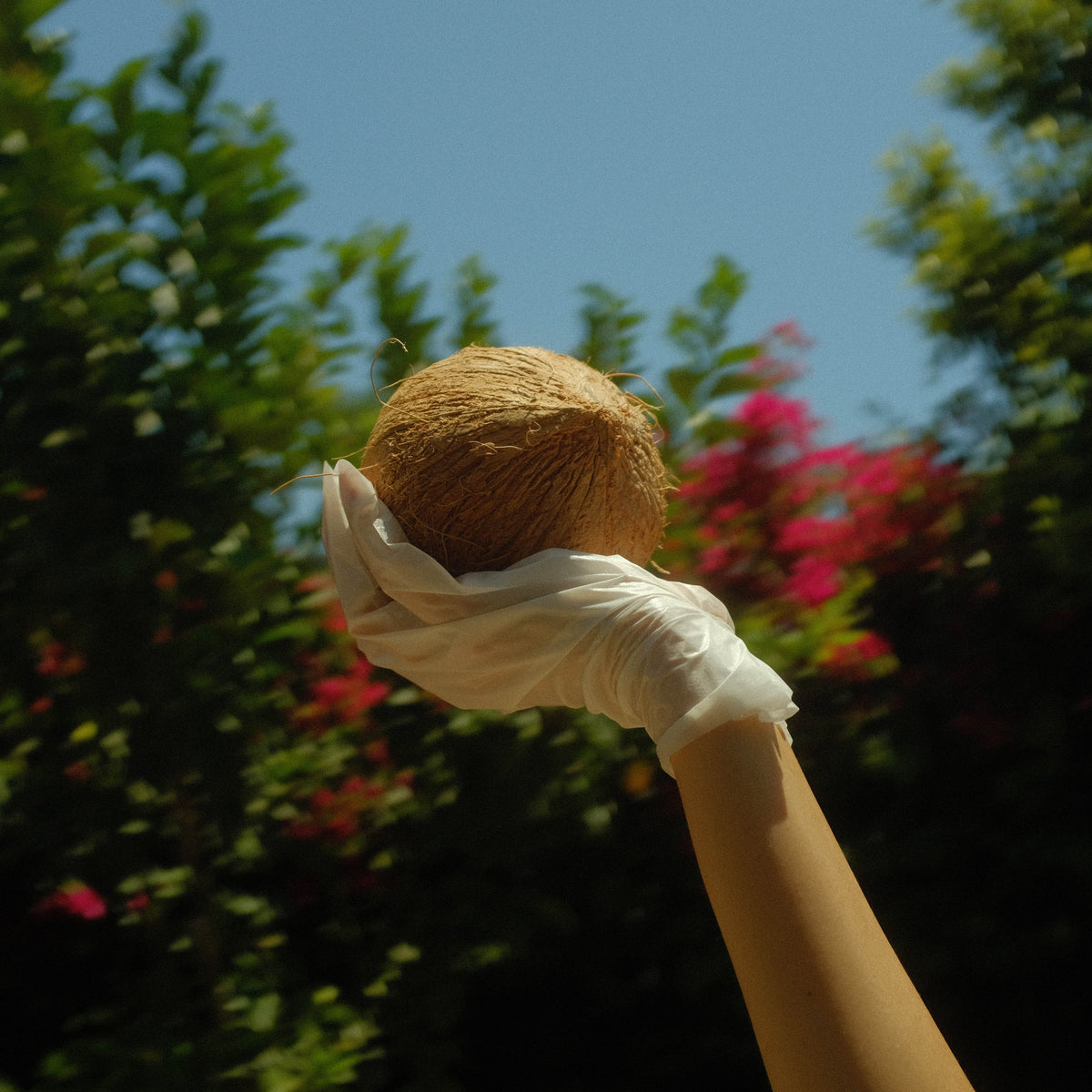Lapcos Coconut Milk Hand Mask