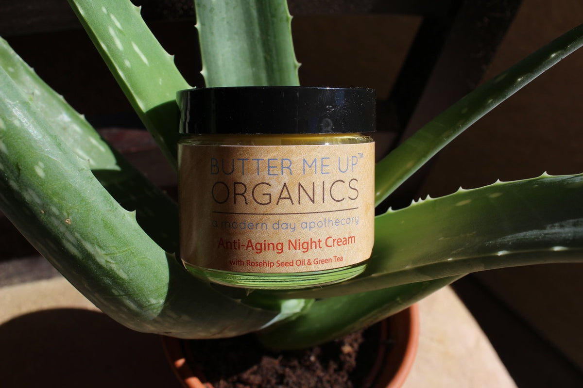 Anti Aging Night Cream
