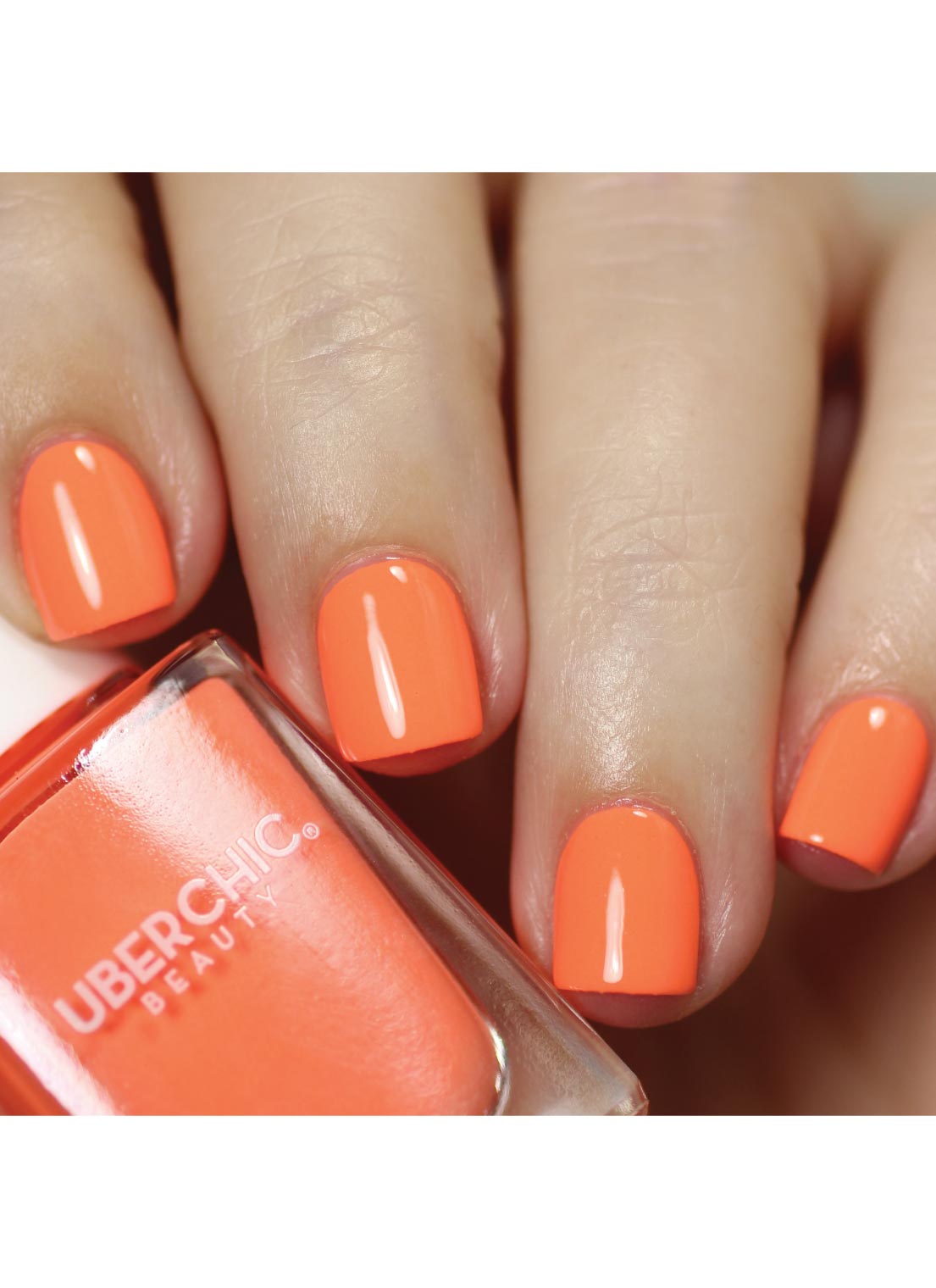 Bahama - Polish