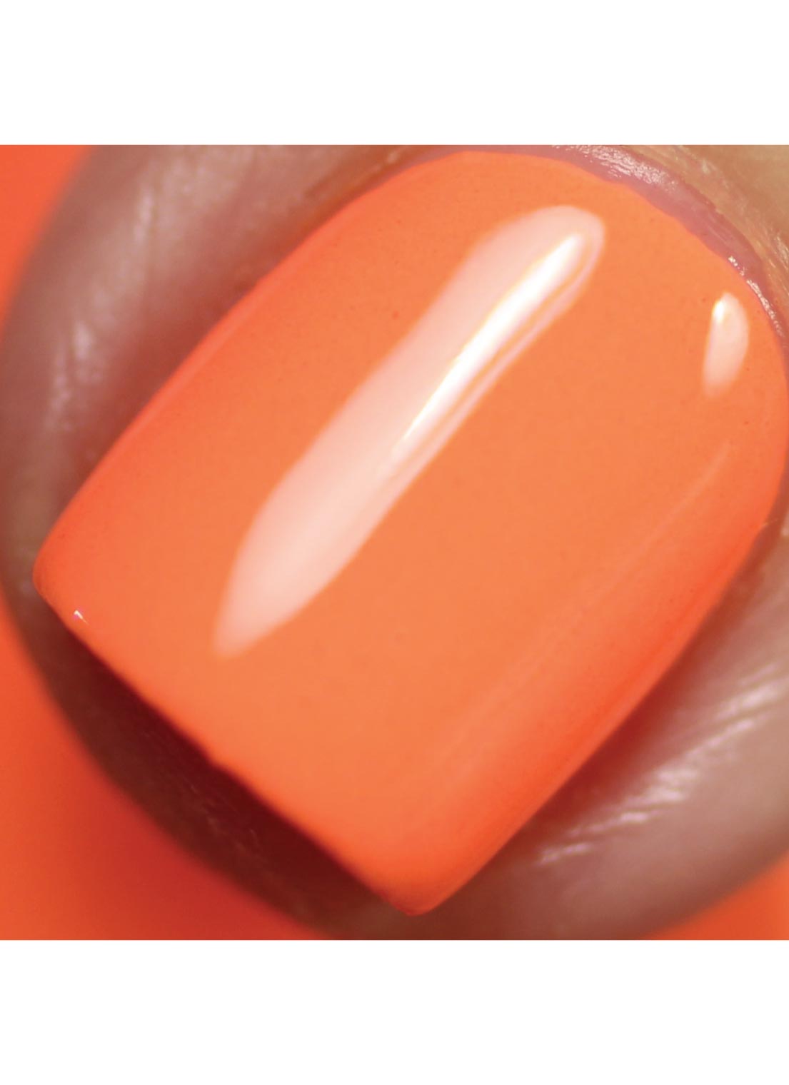 Bahama - Polish