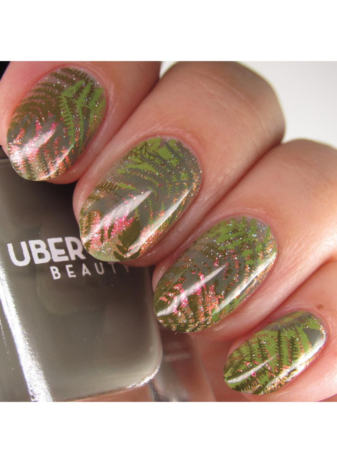 Flora & Fauna