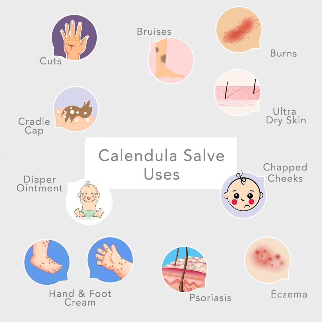 Bálsamo de caléndula y lavanda de Nature's Herbal - Crema para el eccema - Crema multiusos para la piel, 2 oz