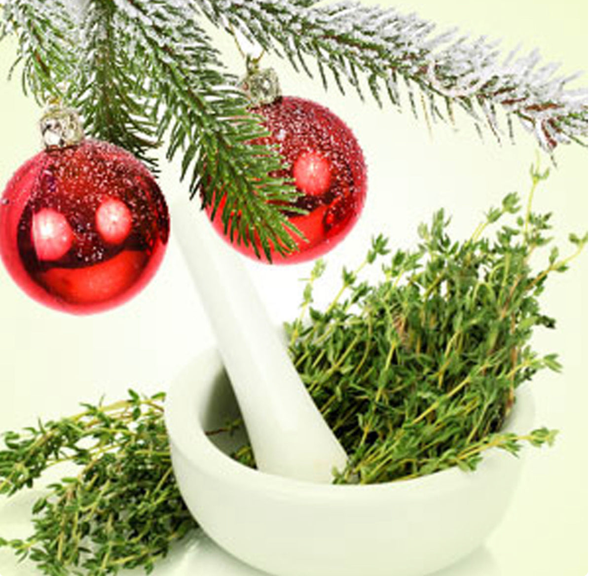 Bougie de Soja Noël d'Antan – Parfum de Fêtes Classique et Chaleureux | Mam Jam’s