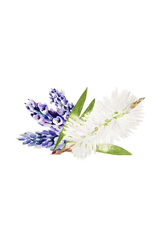 Moisturizing Body Wash | Lavender & Tea Tree