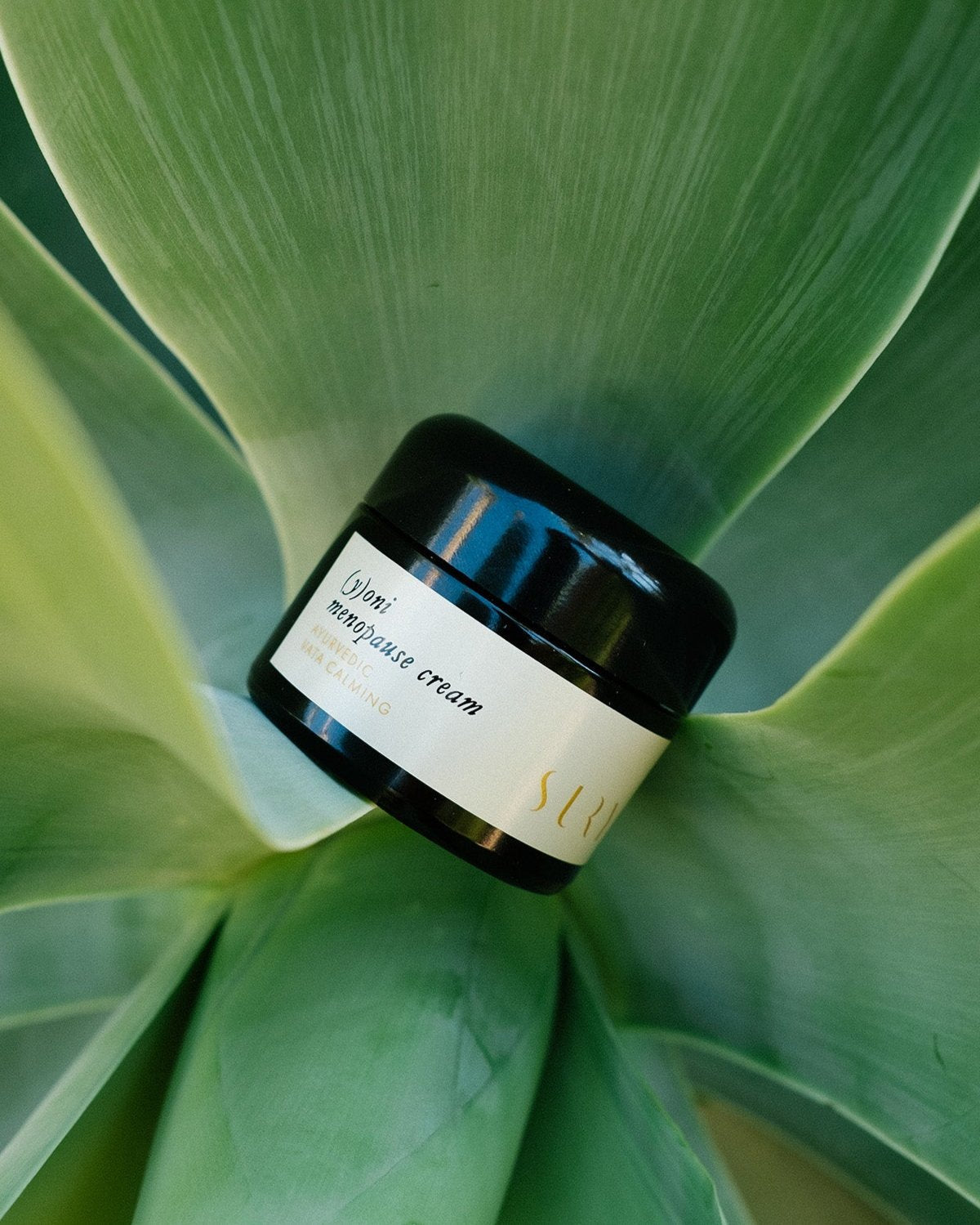 (y)oni Menopause Cream