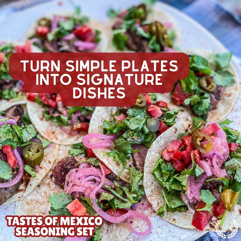 Set de regalo de condimentos mexicanos - Sabores de México - Paquete de seis mezclas de especias artesanales