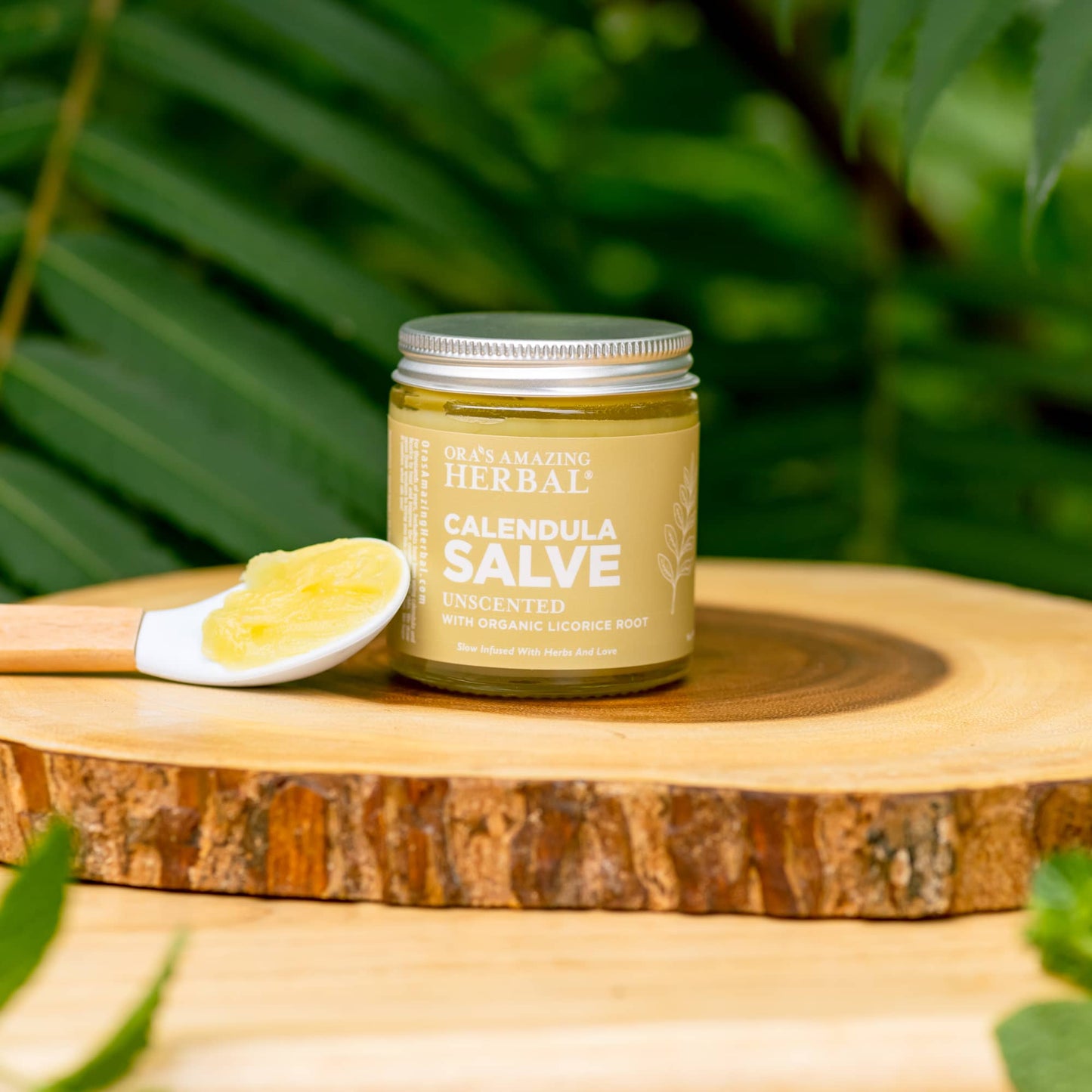 Calendula Salve, Coconut Free Draw Salve with Licorice Root