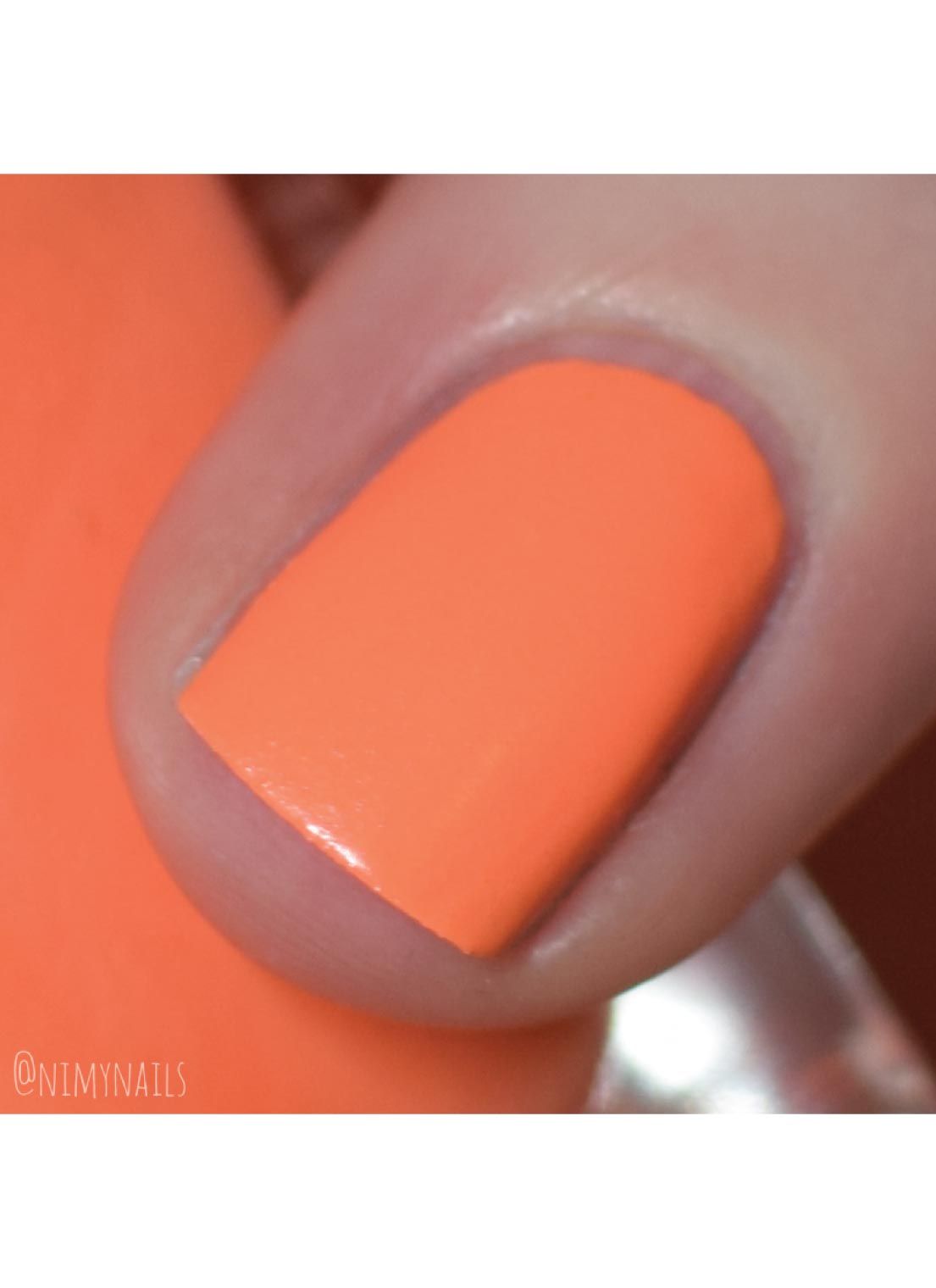 Bahama - Polish