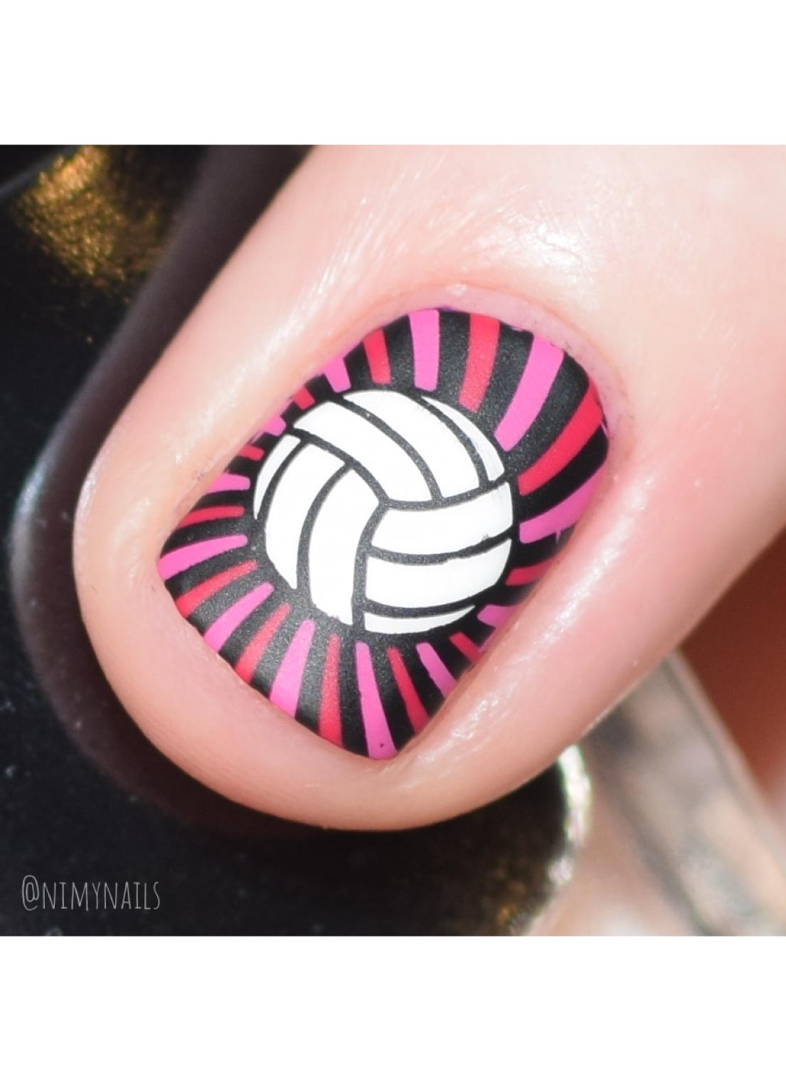 Volleyball Life