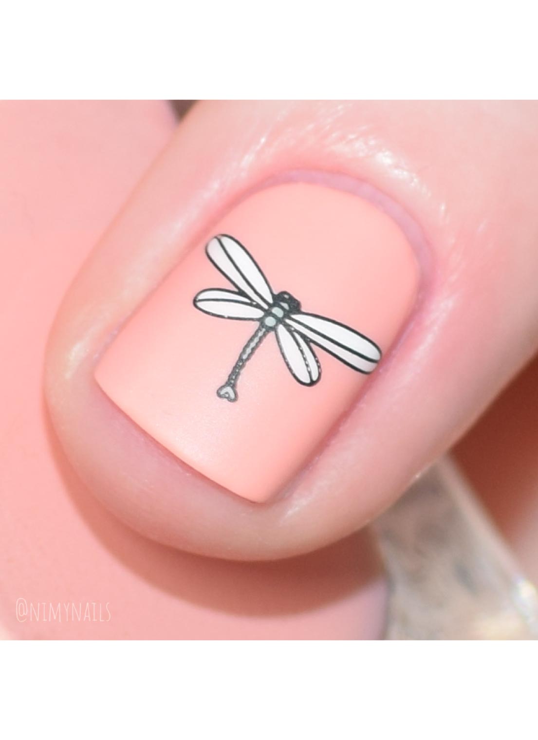 Whimsical By Nature-01