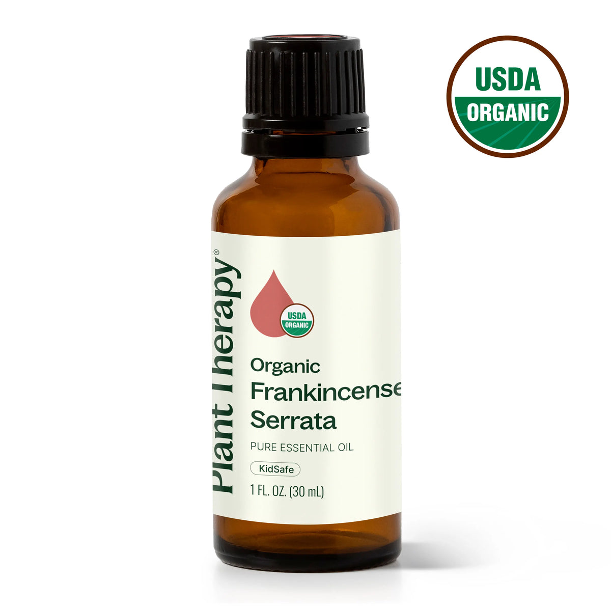 Aceite esencial de incienso serrata orgánico