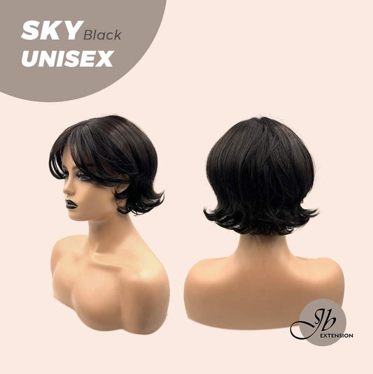 JBEXTENSION 8 Inches Black Curly Unisex Wig Man Wig SKY UNISEX BLACK