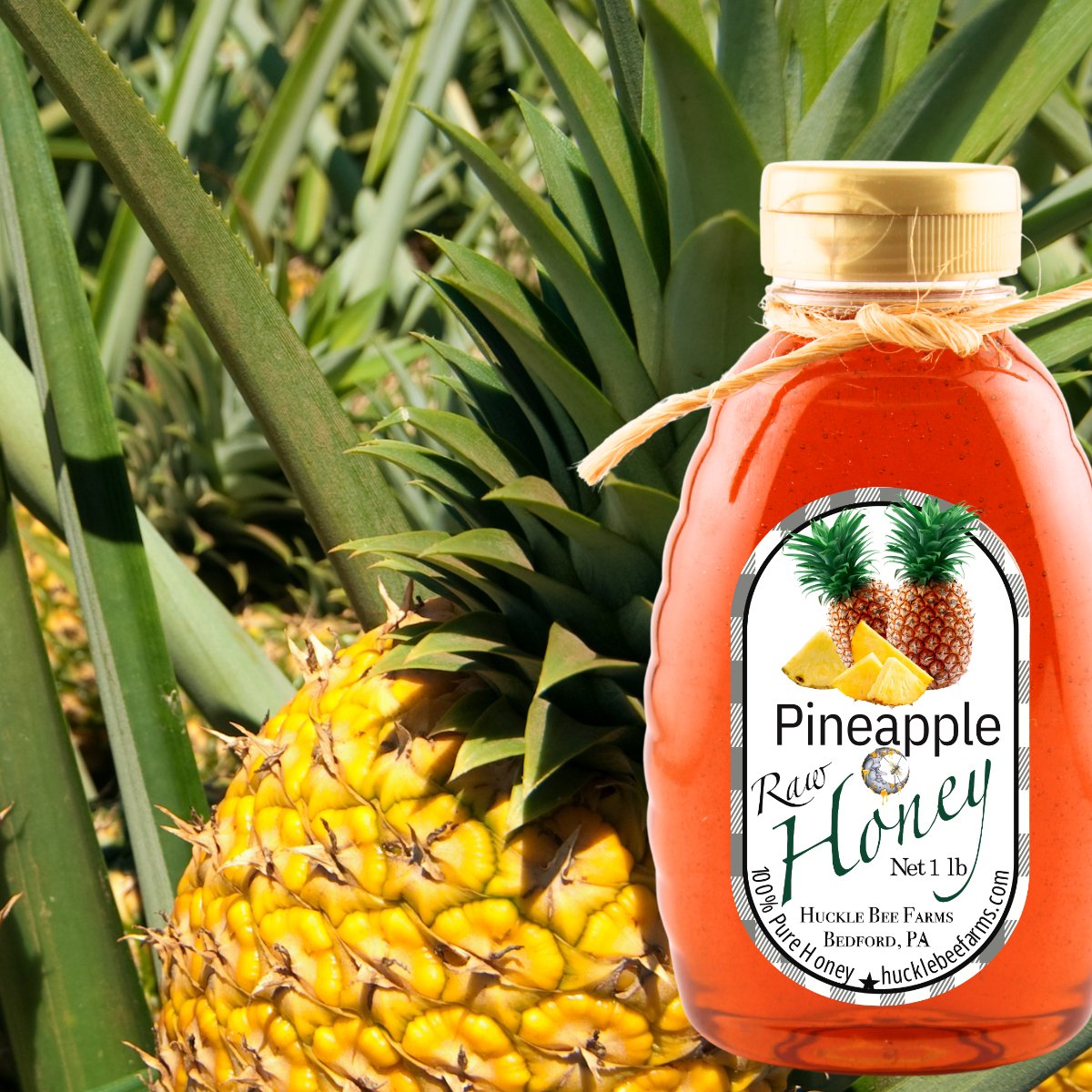 Piña y Miel Bliss: Infusión Tropical 100% Pura