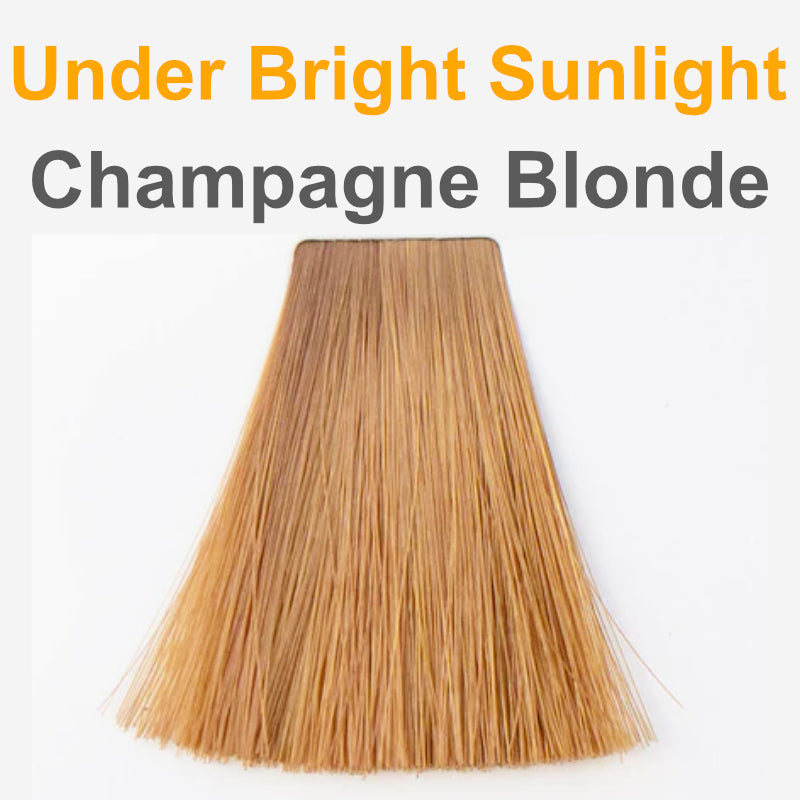 Champagne Blonde - Organic Hair Color