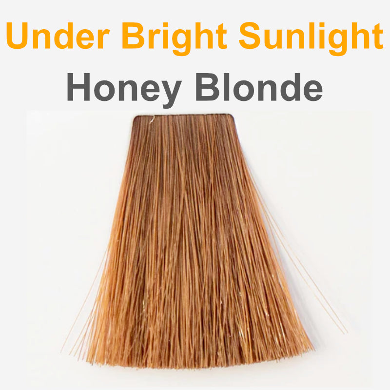 Honey Blonde - Organic Hair Color
