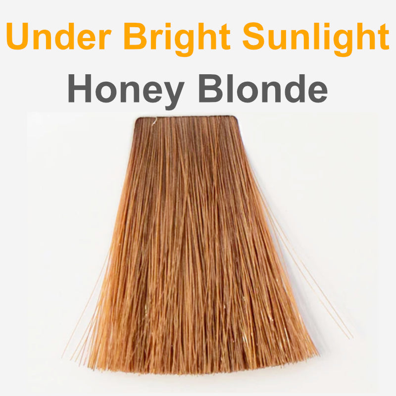 Honey Blonde - Organic Hair Color
