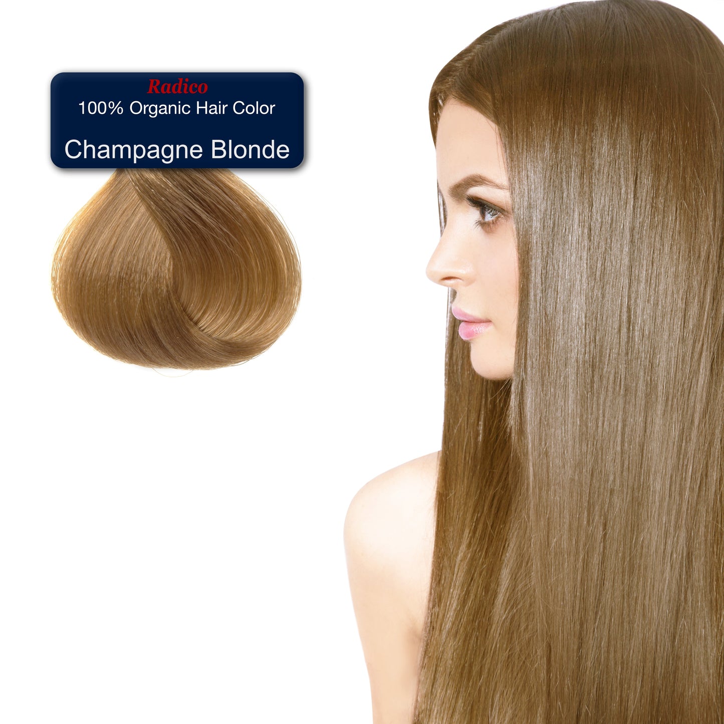 Champagne Blonde - Organic Hair Color