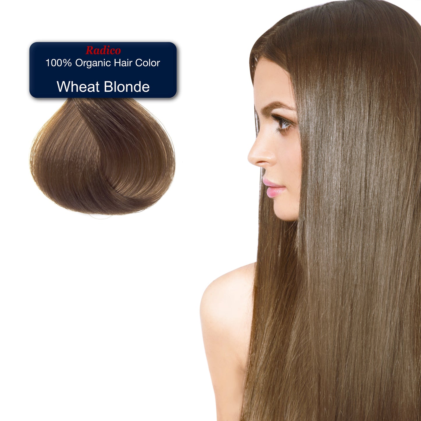 Wheat Blonde - Organic Hair Color