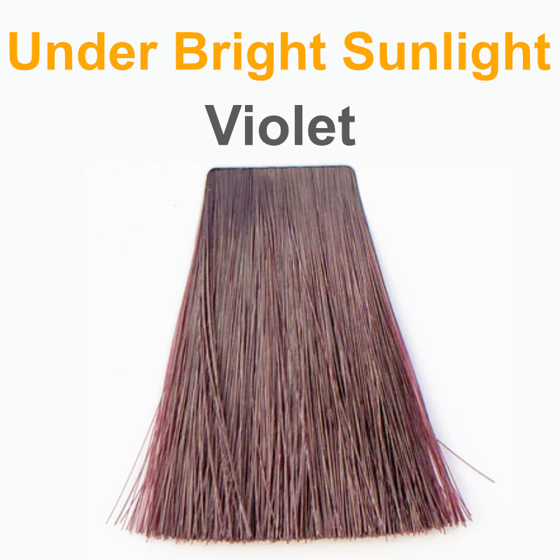 Violet - Organic Hair Color