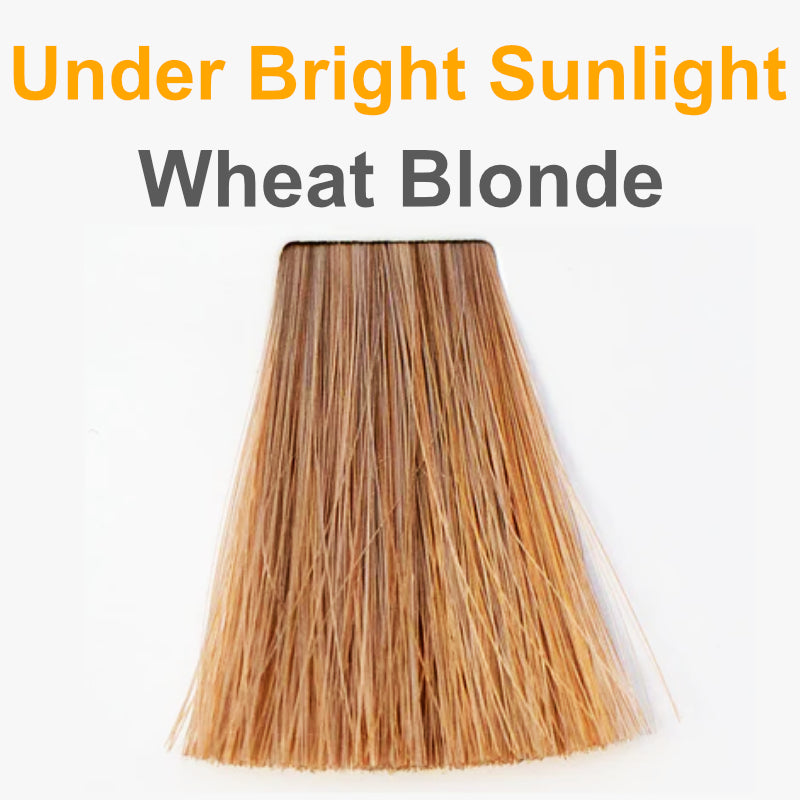 Wheat Blonde - Organic Hair Color