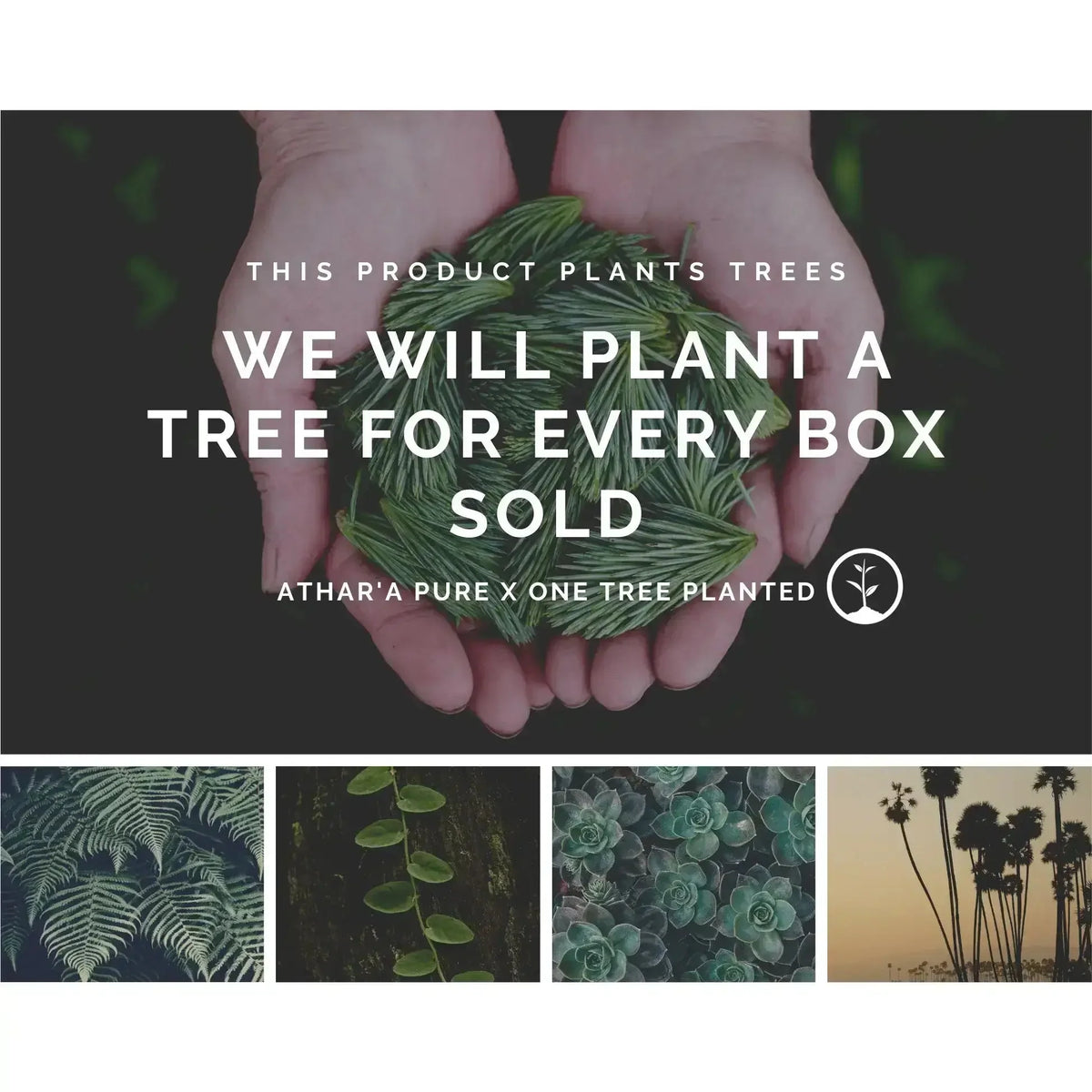 Caja de artículos esenciales para rituales