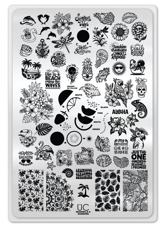 Seashells & Sunshine | Daily Health & Beauty