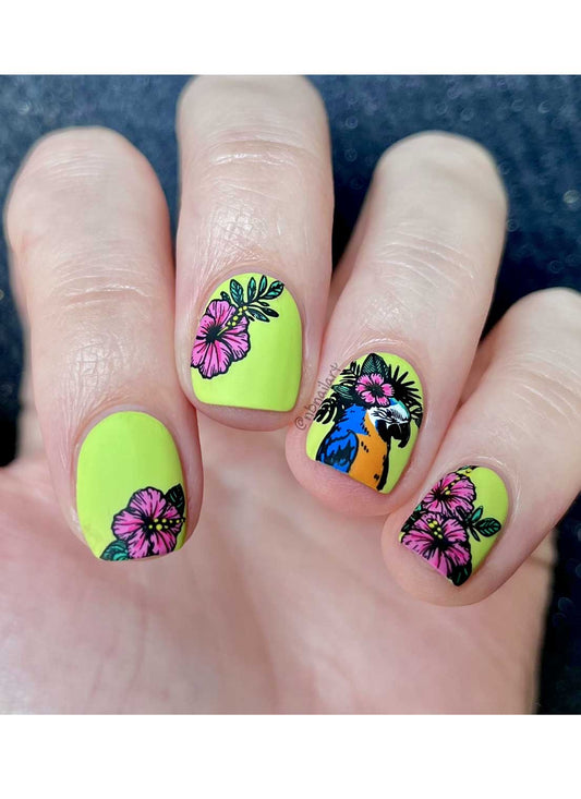 Seashells & Sunshine | Daily Health & Beauty