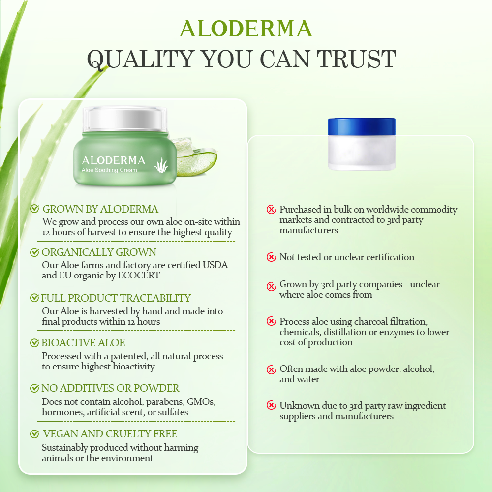 Aloe Soothing & Moisturizing Cream
