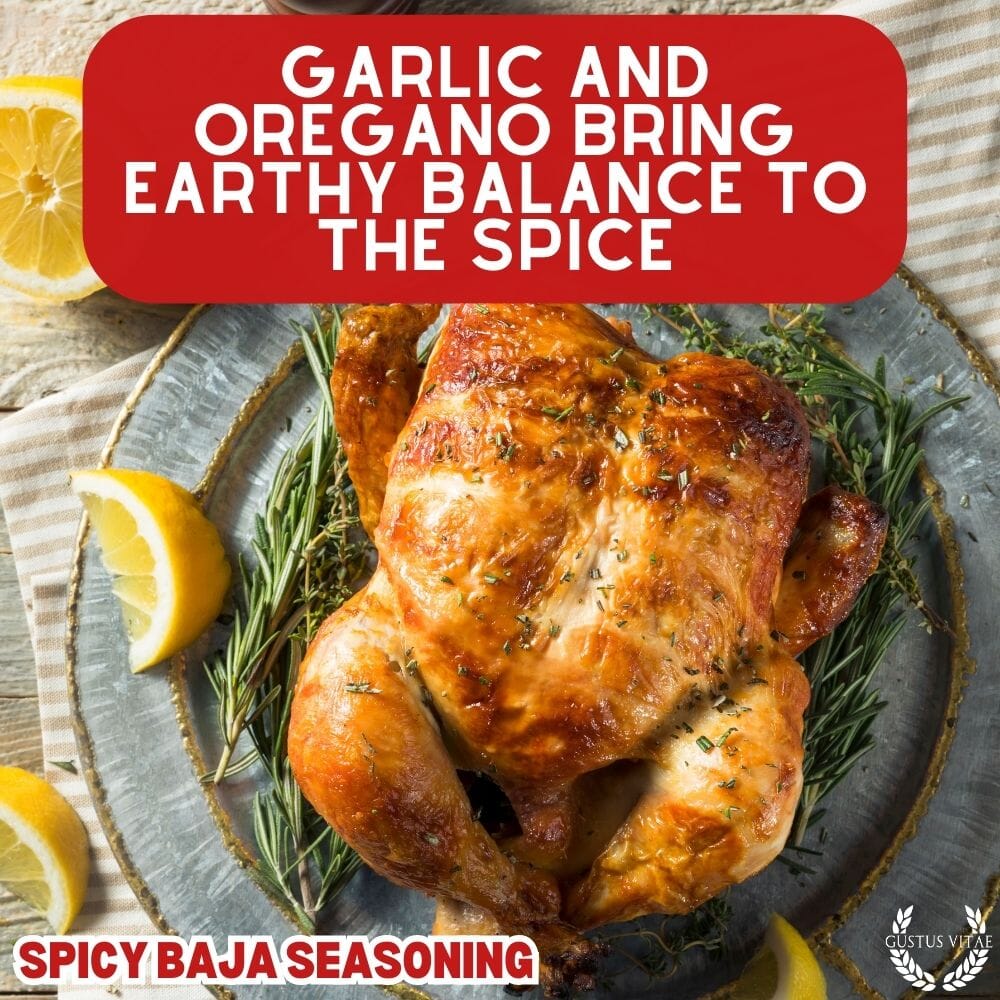 Spicy Baja Seasoning