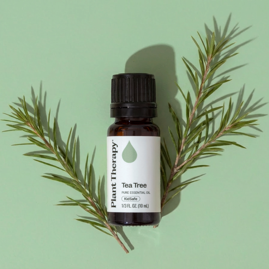 Aceite esencial de árbol de té