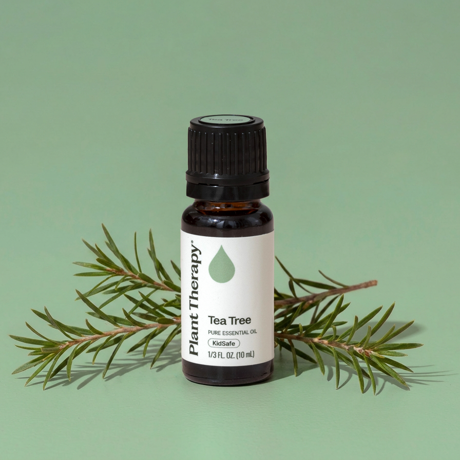 Aceite esencial de árbol de té