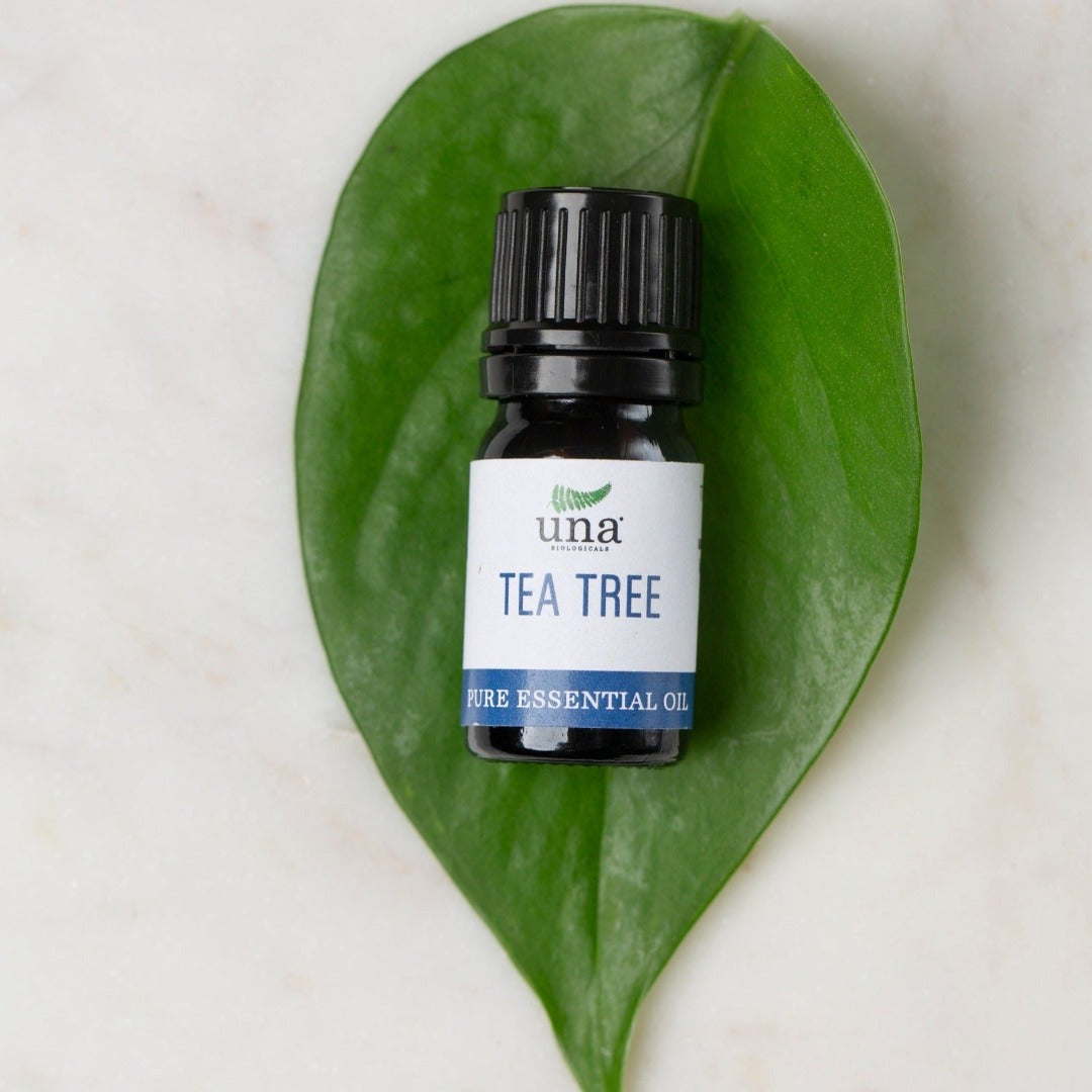 Aceite esencial de árbol de té | Aceite esencial puro | Una Biologicals
