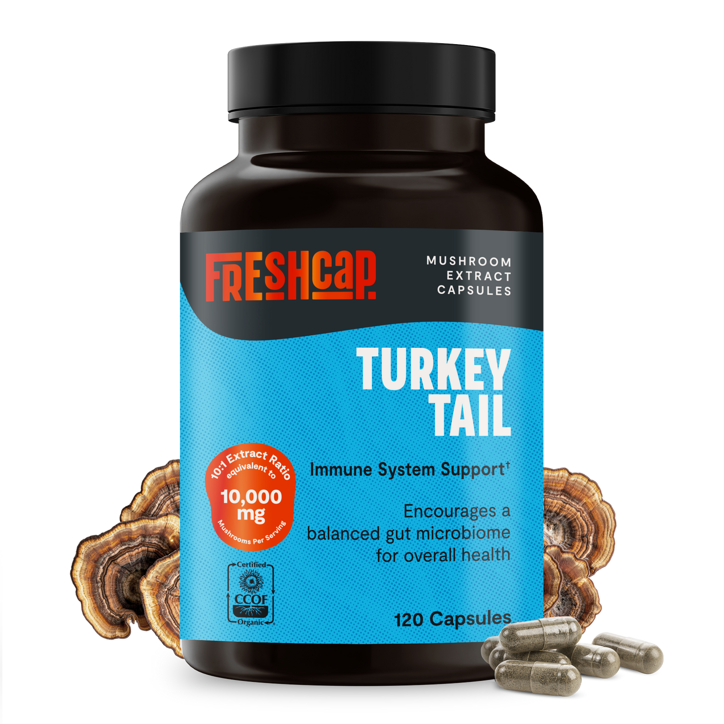 Organic Turkey Tail Mushroom Capsules