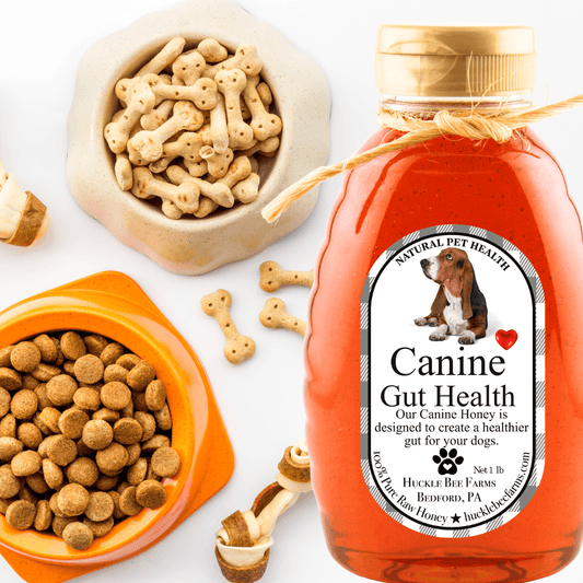 Miel K9: Alivio de alergias y refuerzo inmunitario aprobados por veterinarios