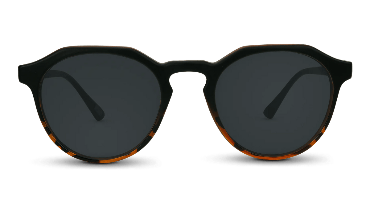 Wynwood Sunglasses